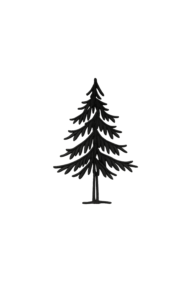 Hand-drawn fir tree illustration